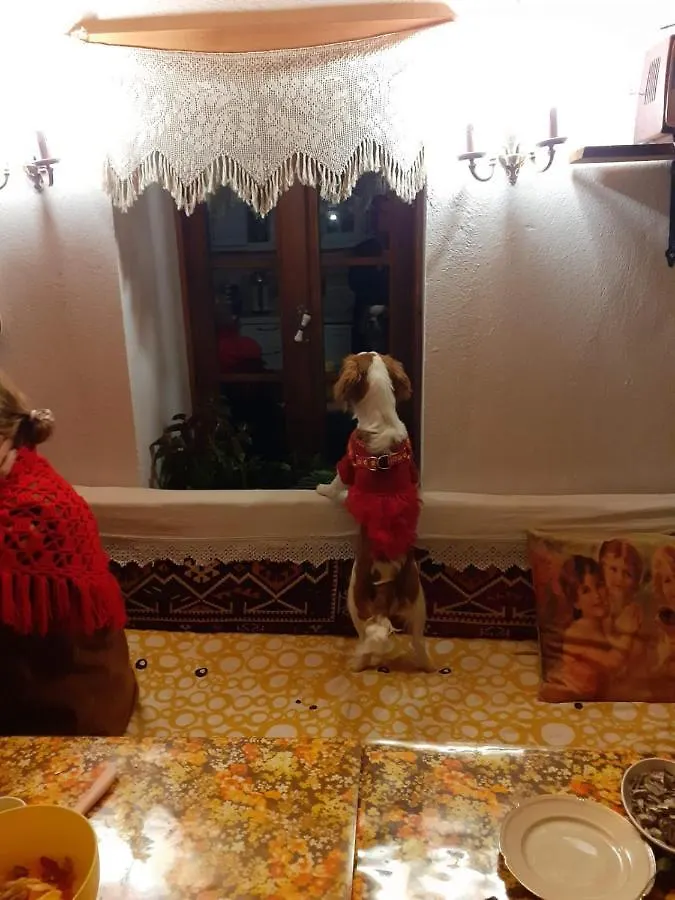 Séjour chez l'habitant Katina Boutique Otel Sirince